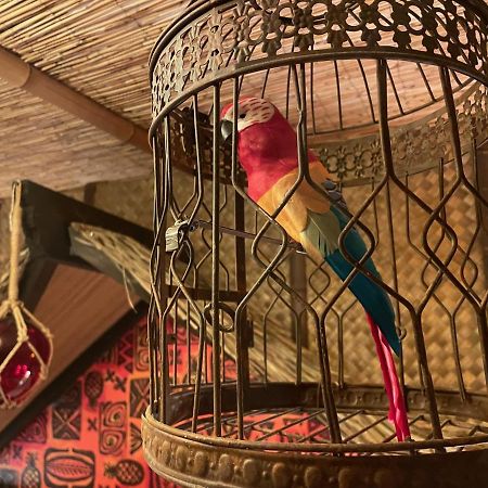 The Kondo Tiki タンパ エクステリア 写真