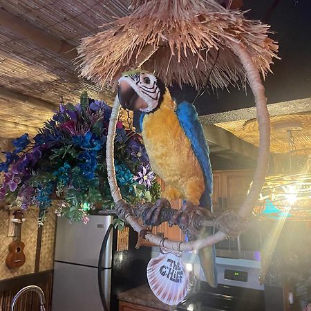 The Kondo Tiki タンパ エクステリア 写真